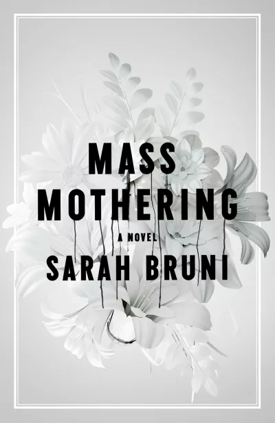Book cover for 