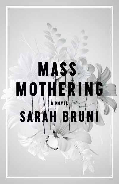 Book cover for 