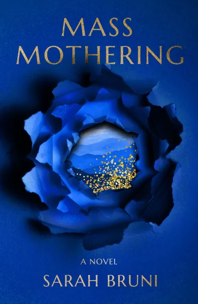 Book cover for 