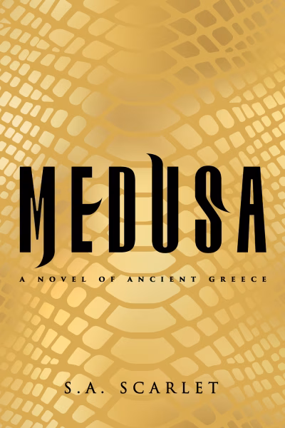 Book cover for 