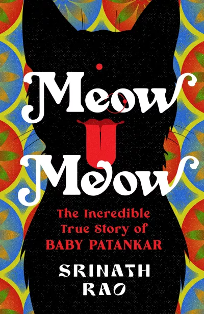 Book cover for 