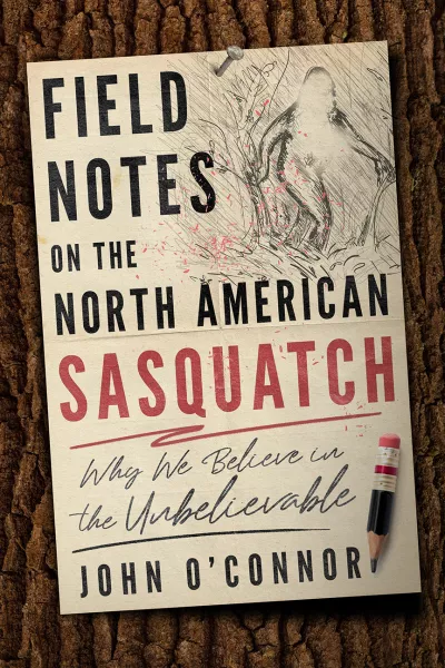 Book cover for 
