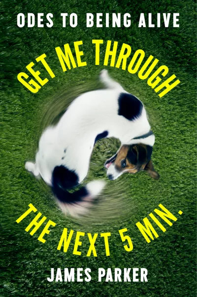 Book cover for