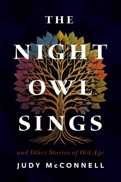 Book cover for 