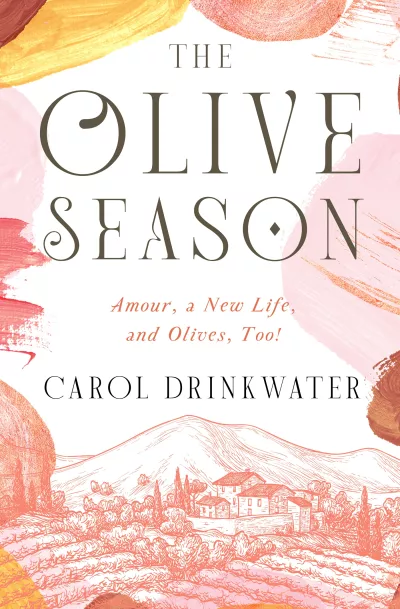 Book cover for