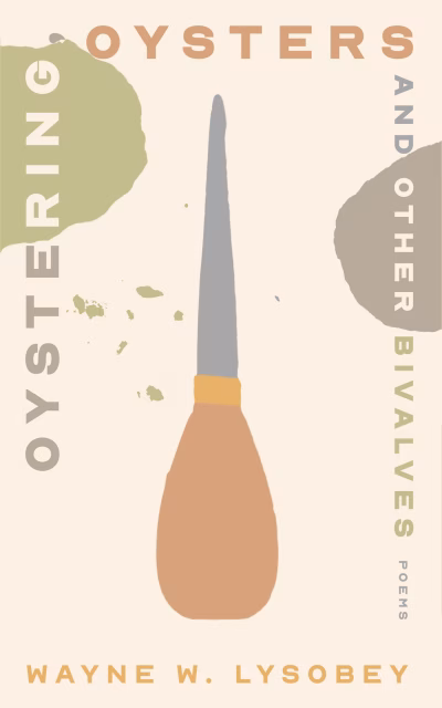 Book cover for 