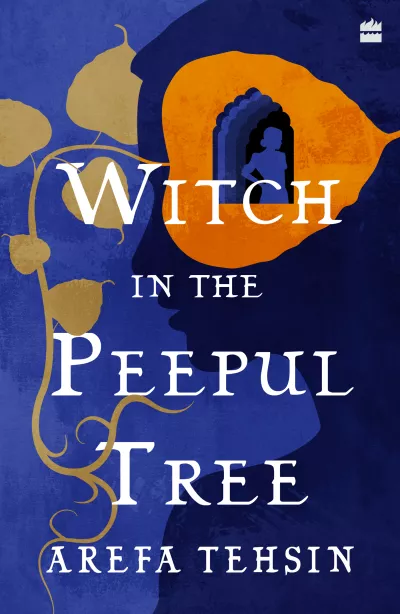 Book cover for