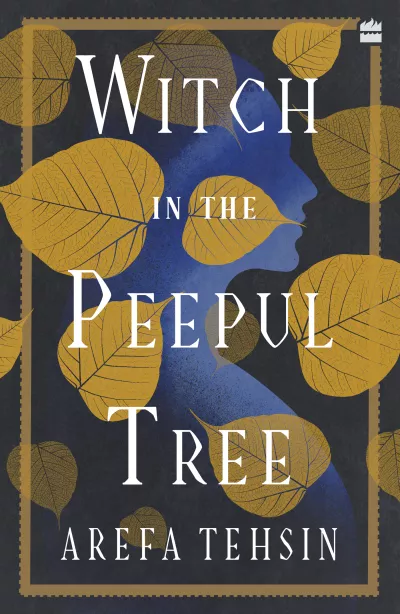 Book cover for