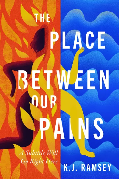 Book cover for 