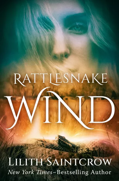 Book cover for 