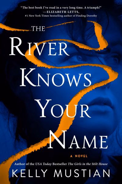 Book cover for 
