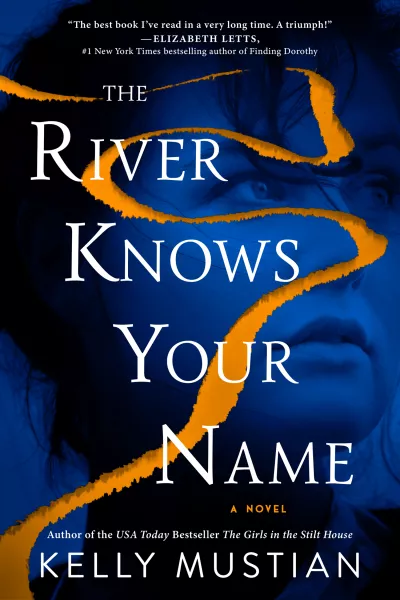Book cover for 