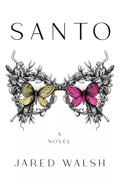 Book cover for 