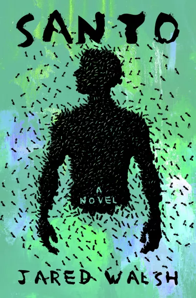 Book cover for 