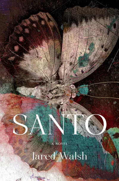 Book cover for 