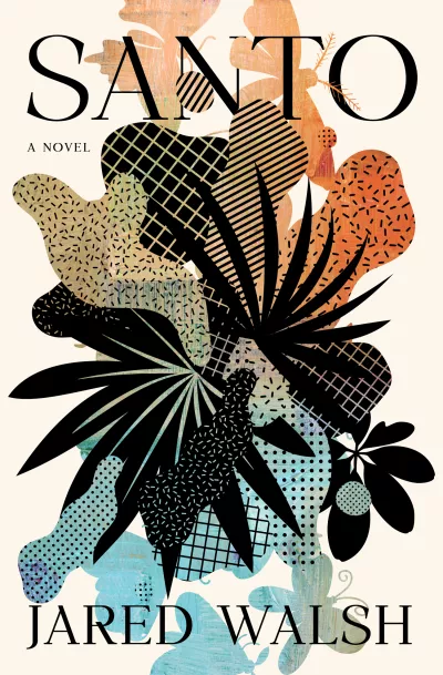 Book cover for 
