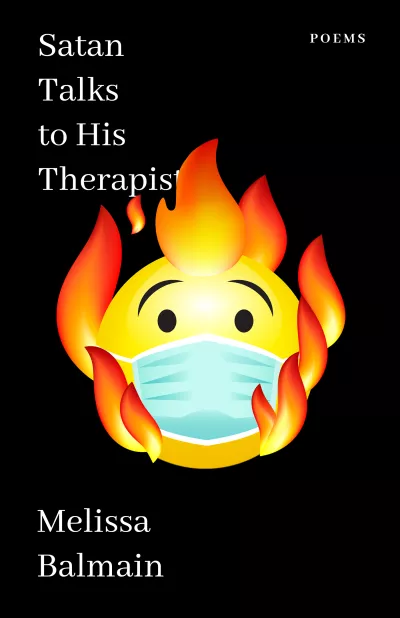 Book cover for 
