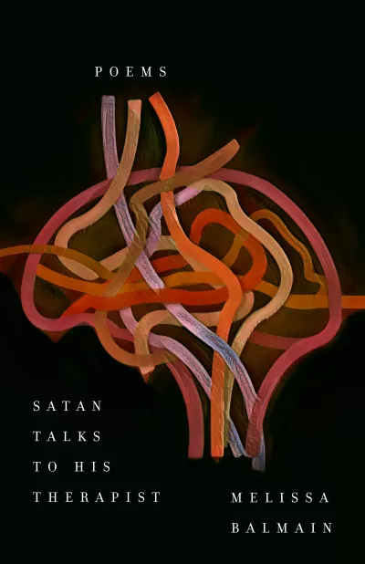 Book cover for 