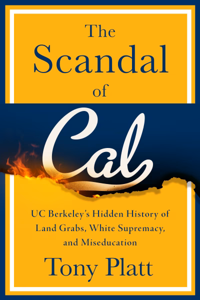 Book cover for 
