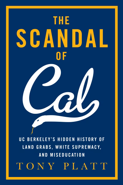 Book cover for 
