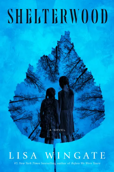 Book cover for 
