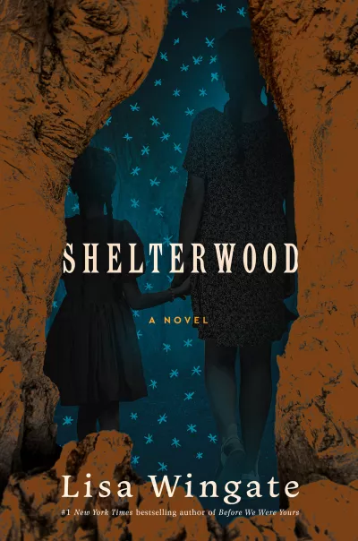Book cover for 