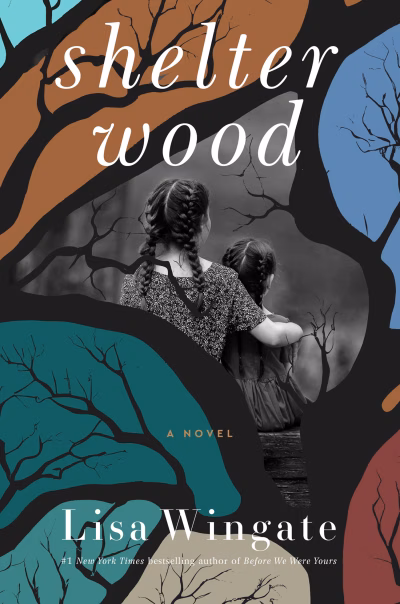 Book cover for 