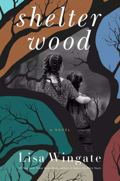 Book cover for 