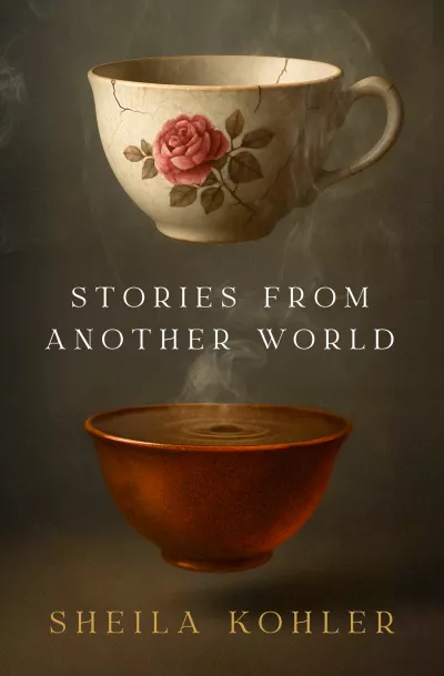 Book cover for 