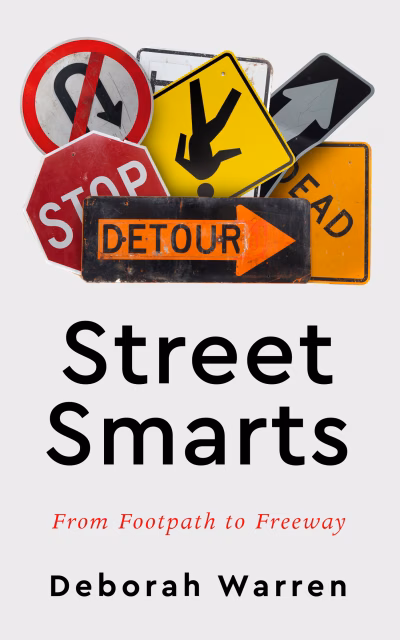 Book cover for 
