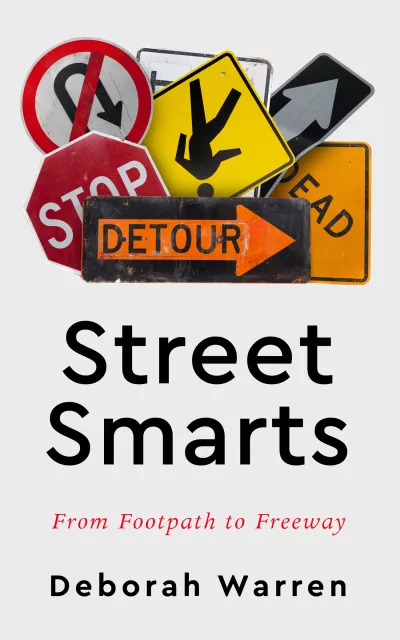 Book cover for 