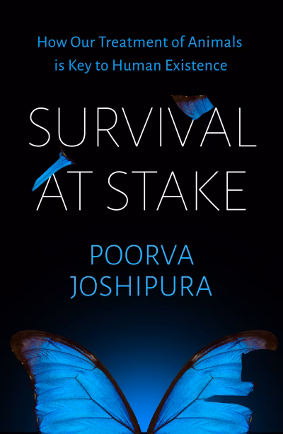 Book cover for 