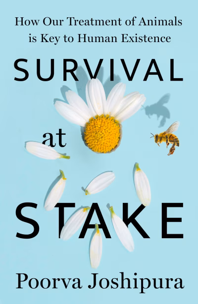 Book cover for 