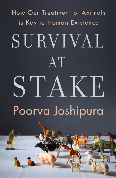 Book cover for 