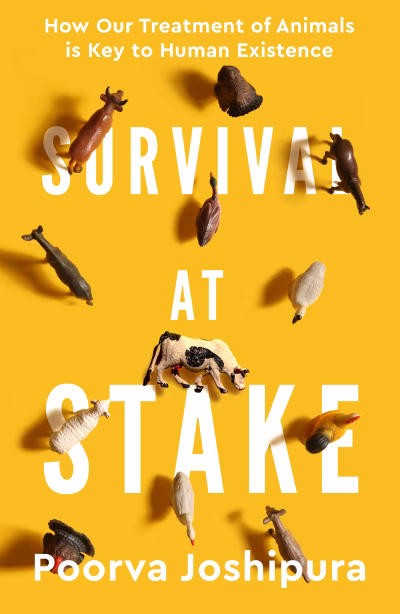 Book cover for 