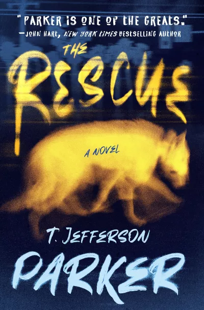 Book cover for 