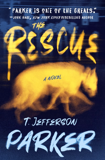 Book cover for 