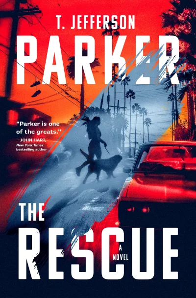 Book cover for 