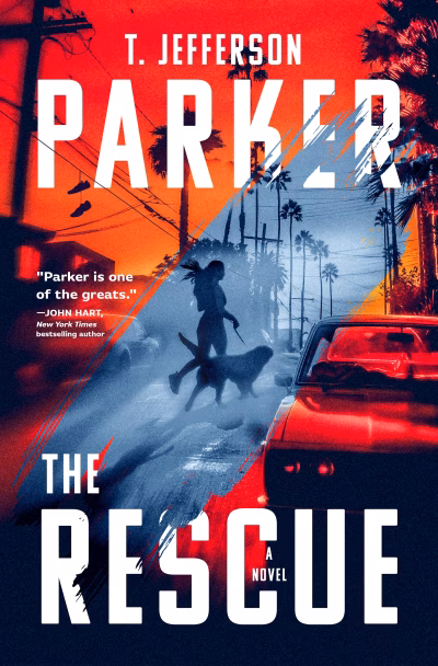 Book cover for 