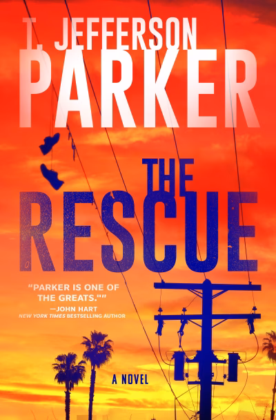 Book cover for 