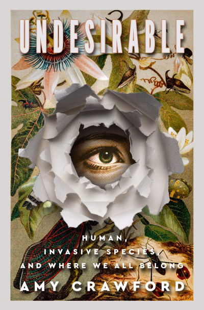 Book cover for 