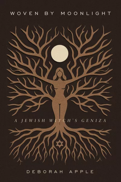 Book cover for 